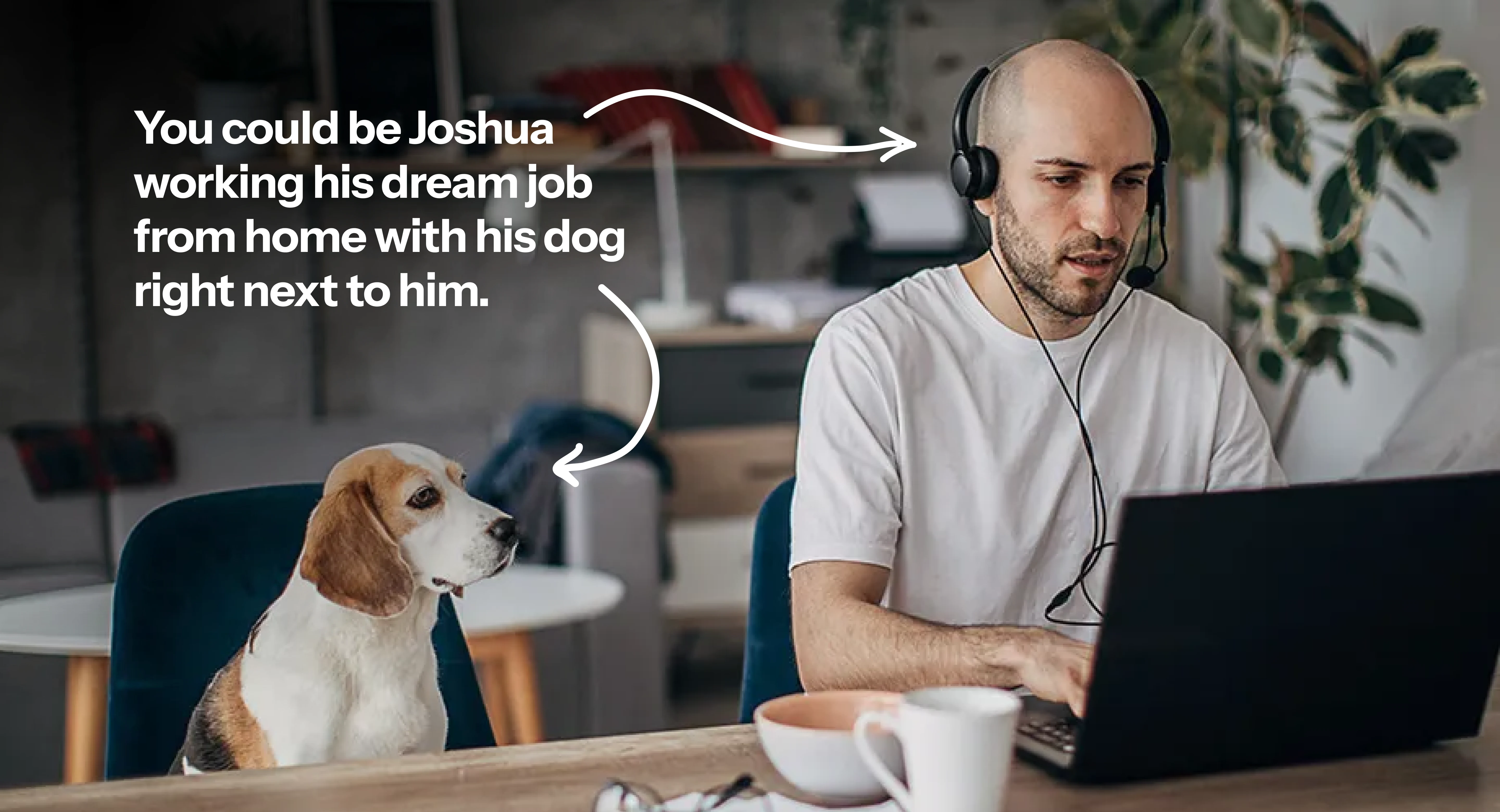 dream job
